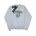 Miniatyrbillede 1 af 5: Harry Potter Girls Slytherin Sport Emblem Sweatshirt
