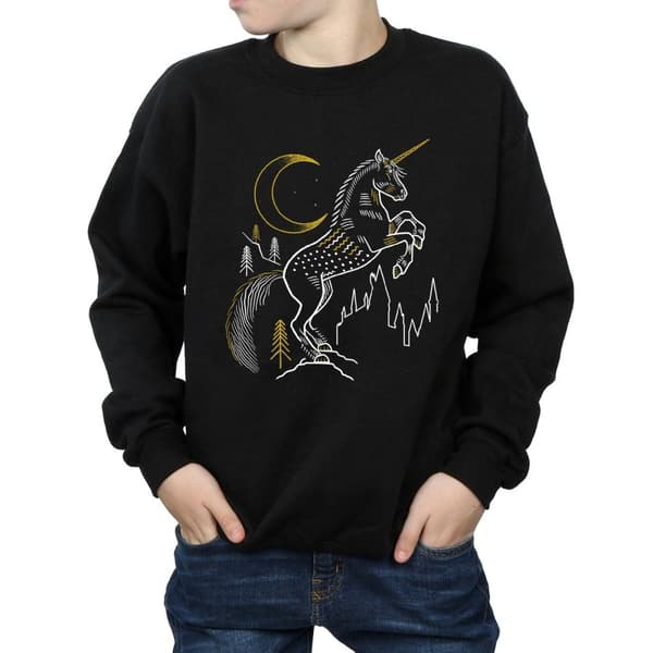 Harry Potter Sweatshirt med linjer av enhörningar för pojkar
