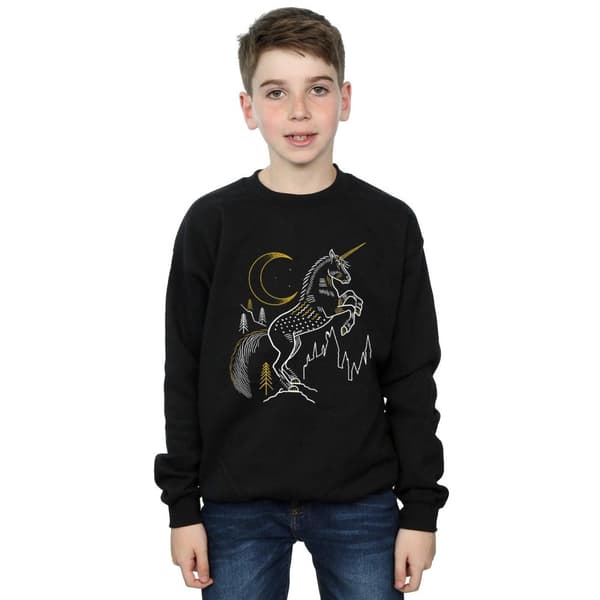 Harry Potter Sweatshirt med linjer av enhörningar för pojkar