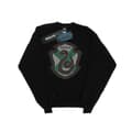 Miniatyrbillede 1 af 5: Harry Potter Boys Slytherin Crest Flat Sweatshirt
