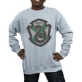 Miniatyrbillede 3 af 5: Harry Potter Boys Slytherin Crest Flat Sweatshirt