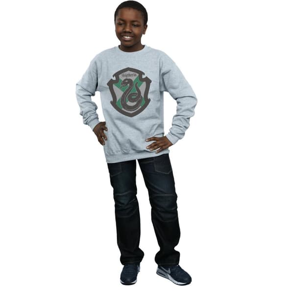 Harry Potter Boys Slytherin Crest Flat Sweatshirt