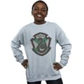 Miniatyrbillede 2 af 5: Harry Potter Boys Slytherin Crest Flat Sweatshirt