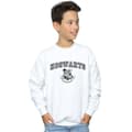 Miniatyrbillede 2 af 3: Harry Potter Boys Hogwarts Crest Sweatshirt