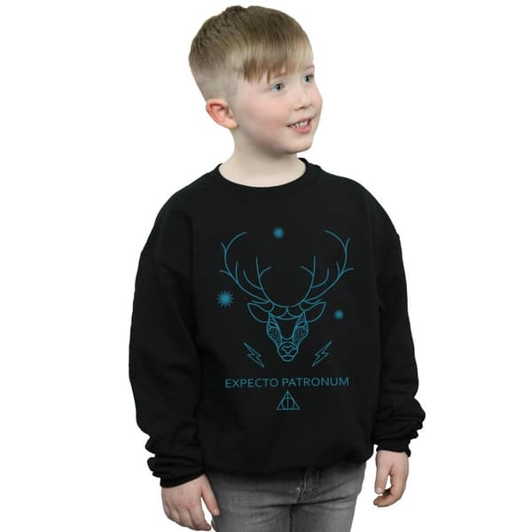 Harry Potter Boys Expecto Patronum Sweatshirt