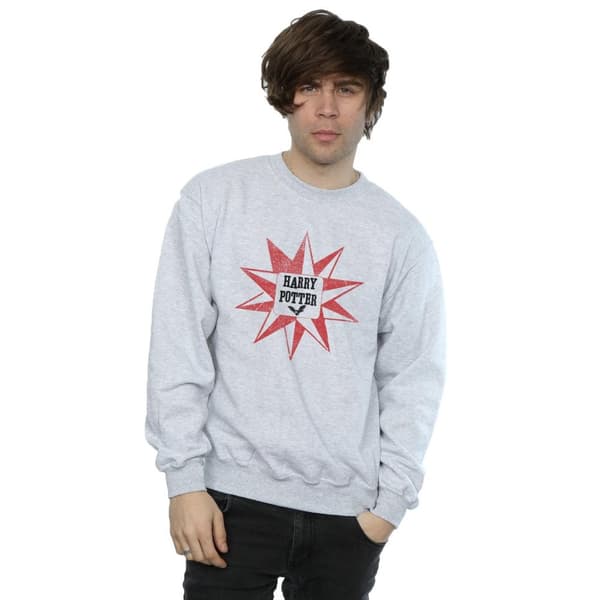 Harry Potter Mens Hedwig Star Sweatshirt