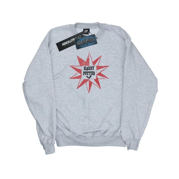 Harry Potter Mens Hedwig Star Sweatshirt