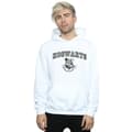Miniatyrbillede 2 af 3: Harry Potter Mens Hogwarts Crest Hoodie