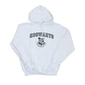 Miniatyrbillede 1 af 3: Harry Potter Mens Hogwarts Crest Hoodie