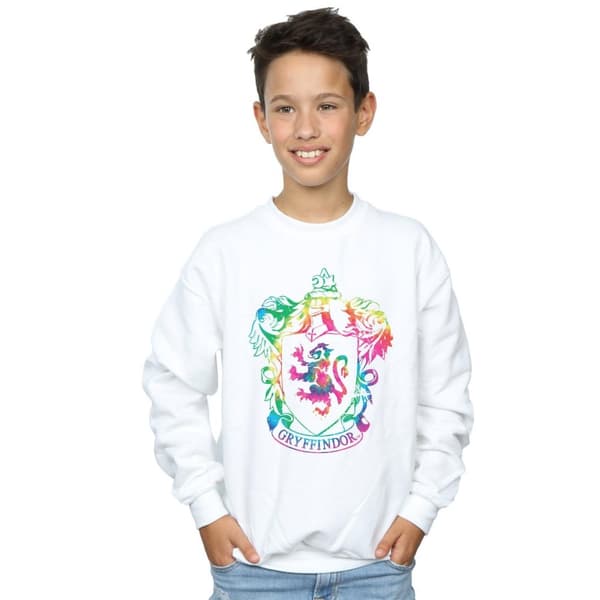 Harry Potter Boys Gryffindor Crest Tie Dye Infill Sweatshirt
