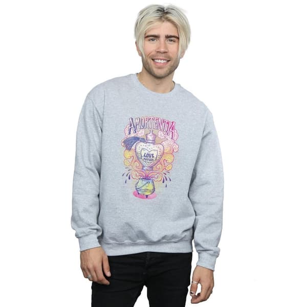 Harry Potter Mens Love Potion Sweatshirt