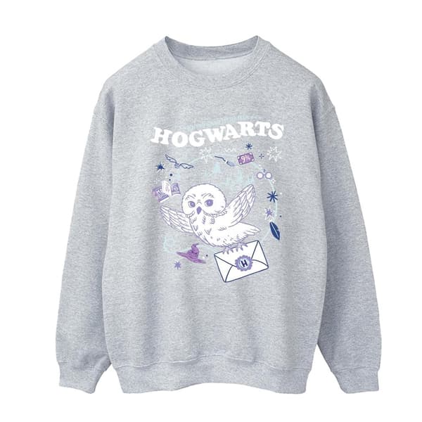 Harry Potter Mens Owl Letter From Hogwarts Sweatshirt