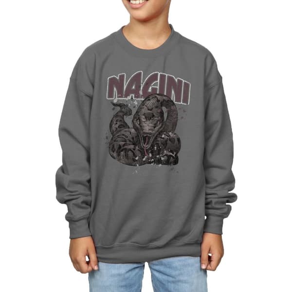 Harry Potter Boys Nagini Splats Sweatshirt