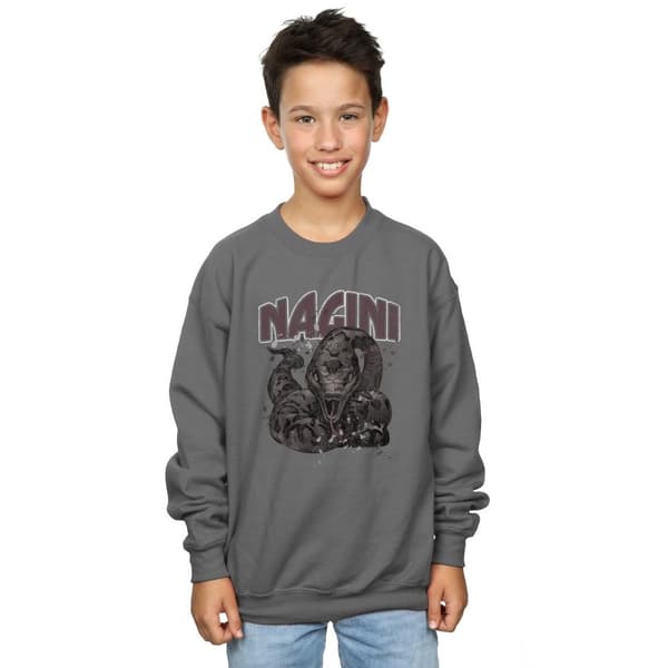 Harry Potter Boys Nagini Splats Sweatshirt
