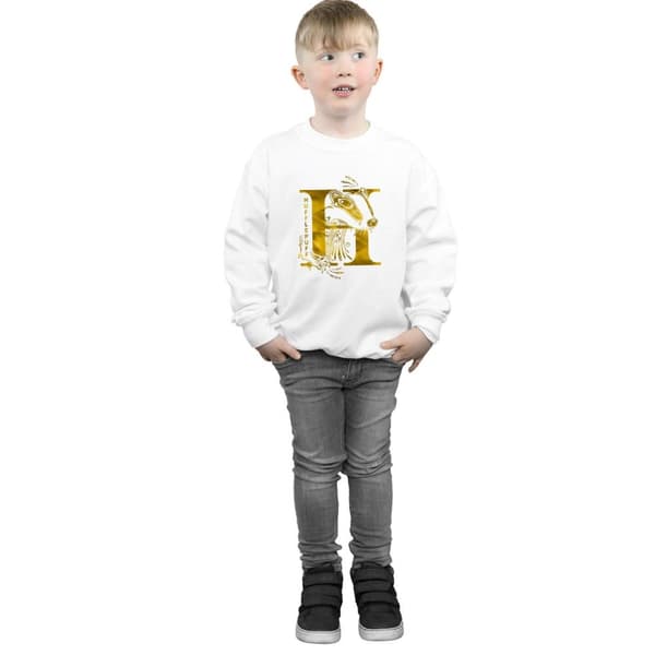 Harry Potter Boys Hufflepuff Badger Sweatshirt