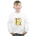 Miniatyrbillede 2 af 5: Harry Potter Boys Hufflepuff Badger Sweatshirt