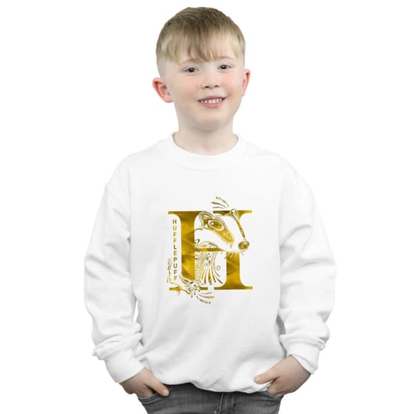 Harry Potter Boys Hufflepuff Badger Sweatshirt