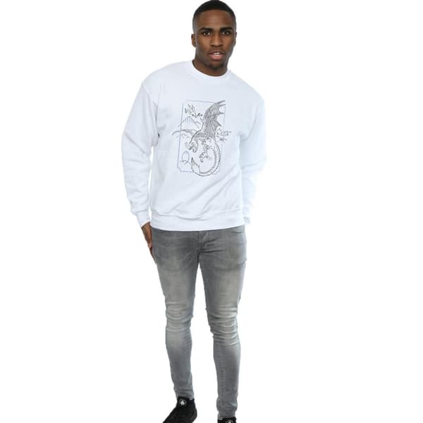 Harry Potter Mens Dragon Line Art Sweatshirt