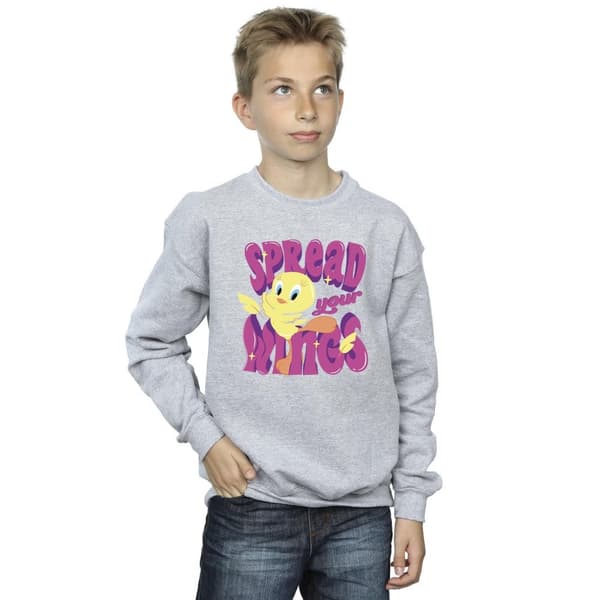 Looney Tunes Boys Tweeday Spread Your Wings Sweatshirt