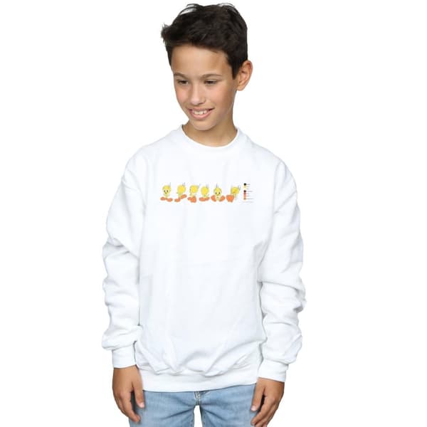 Looney Tunes Boys Tweety Pie Colour Code Sweatshirt