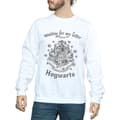 Miniatyrbillede 3 af 5: Harry Potter Mens Hogwarts Waiting For My Letter Sweatshirt