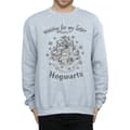 Miniatyrbillede 3 af 5: Harry Potter Mens Hogwarts Waiting For My Letter Sweatshirt
