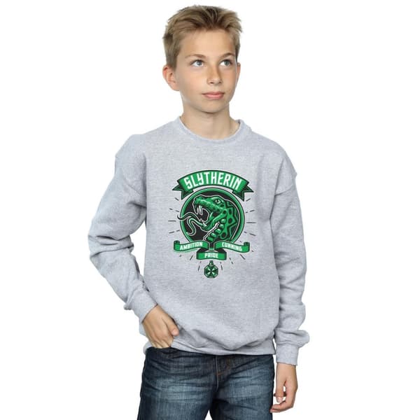 Harry Potter Boys Slytherin Toon Crest Sweatshirt