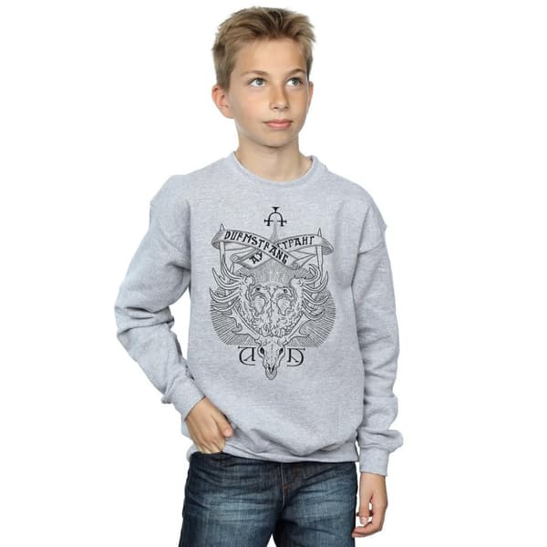 Harry Potter Boys Durmstrang Institute Crest Sweatshirt