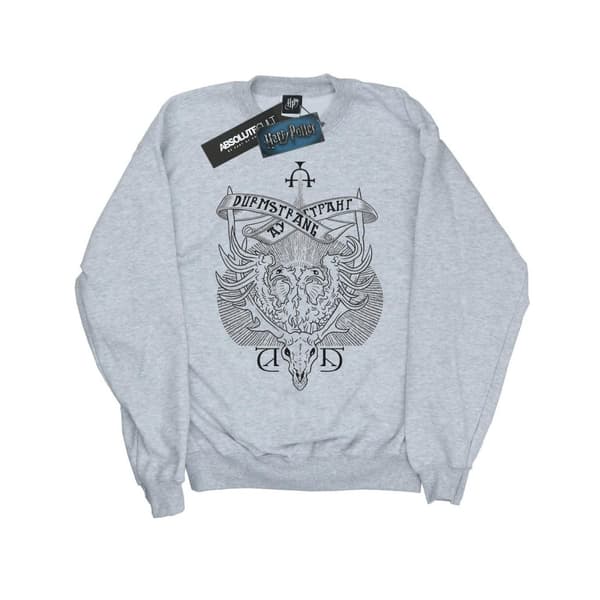 Harry Potter Boys Durmstrang Institute Crest Sweatshirt Sports Grey 7-8 Years