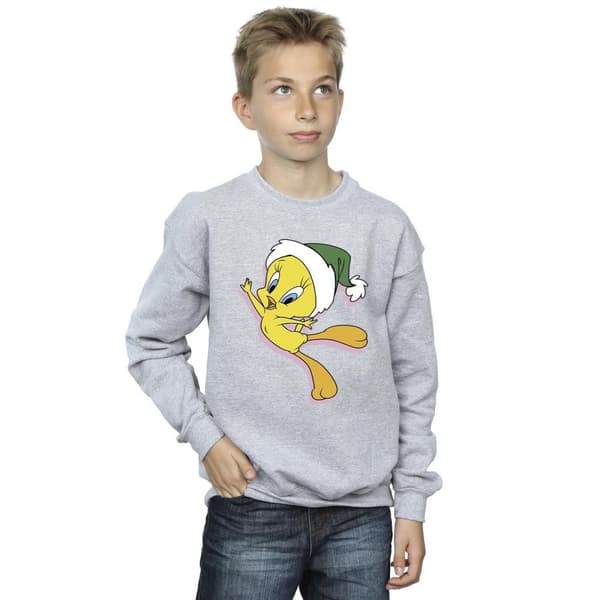 Looney Tunes Boys Tweety Christmas Hat Sweatshirt
