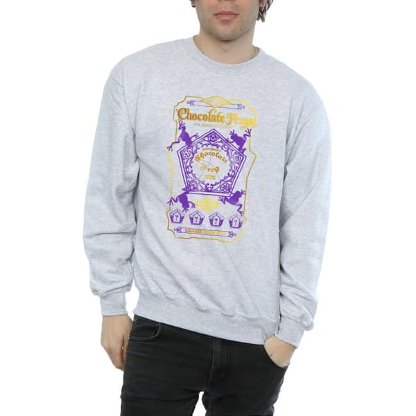 Harry Potter Mens Chocolate Frogs Coloured Label Sweatshirt
