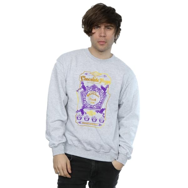 Harry Potter Mens Chocolate Frogs Coloured Label Sweatshirt
