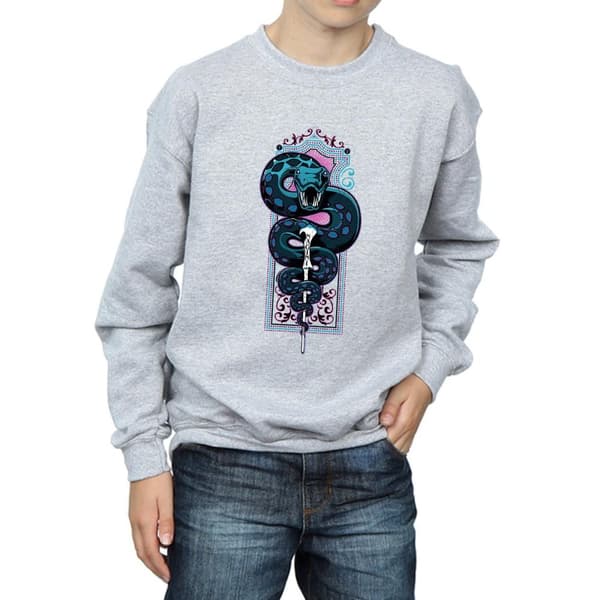 Harry Potter Neon Nagini Sweatshirt för pojkar