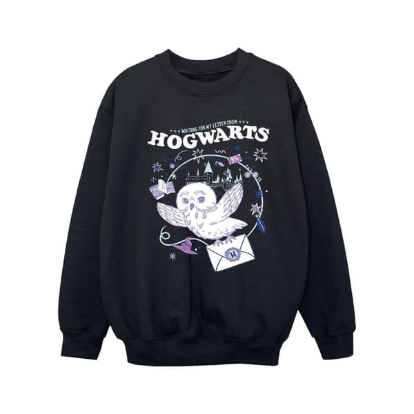 Harry Potter Girls Owl Letter From Hogwarts Sweatshirt