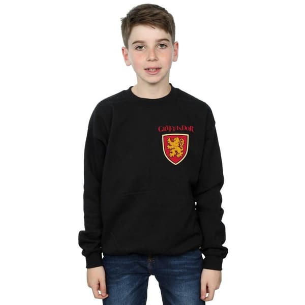 Harry Potter Boys Gryffindor Lion Faux Pocket Sweatshirt