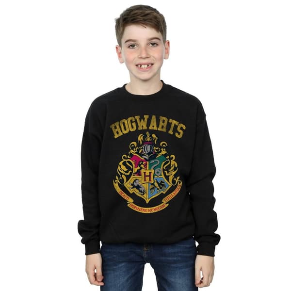 Harry Potter Boys Filled Crest Varsity Sweatshirt