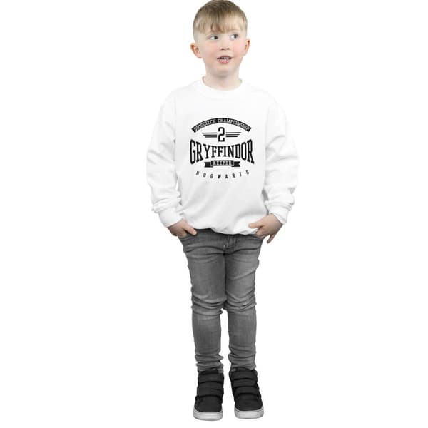 Harry Potter Boys Gryffindor Keeper Sweatshirt
