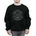 Miniatyrbillede 3 af 5: Harry Potter Boys Gryffindor Seal Sweatshirt
