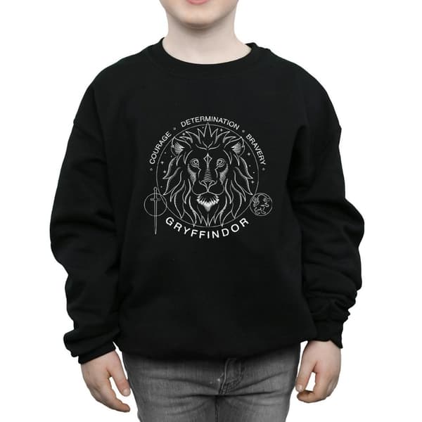 Harry Potter Boys Gryffindor Seal Sweatshirt