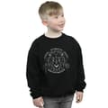 Miniatyrbillede 2 af 5: Harry Potter Boys Gryffindor Seal Sweatshirt