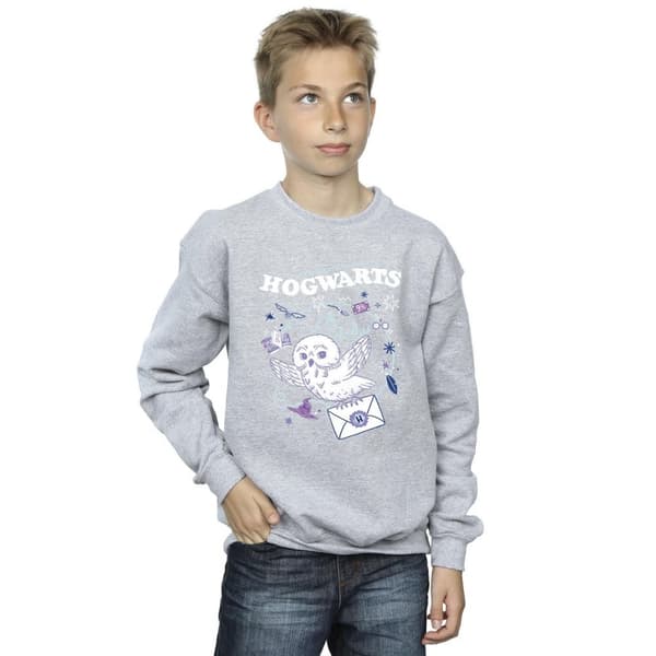 Harry Potter Boys Owl Letter From Hogwarts Sweatshirt