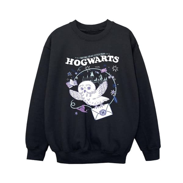 Harry Potter Boys Owl Letter From Hogwarts Sweatshirt