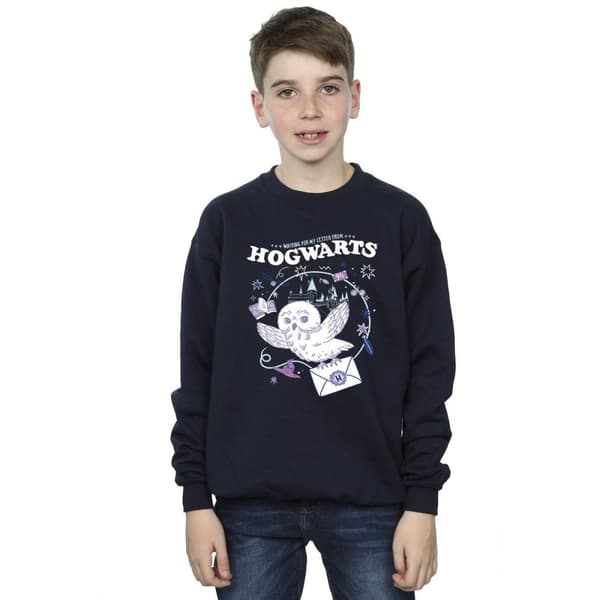 Harry Potter Boys Owl Letter From Hogwarts Sweatshirt