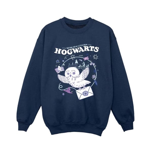 Harry Potter Boys Owl Letter From Hogwarts Sweatshirt