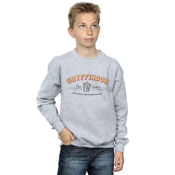 Harry Potter Pojkar Gryffindor Team Quidditch Sweatshirt