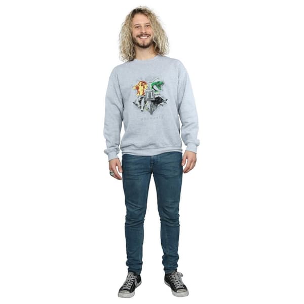 Harry Potter Mens Hogwarts Painted Crest Sweatshirt