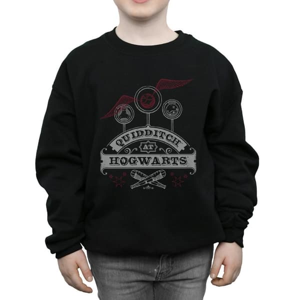 Harry Potter Boys Quidditch At Hogwarts Sweatshirt