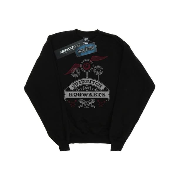Harry Potter Boys Quidditch At Hogwarts Sweatshirt