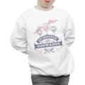 Miniatyrbillede 3 af 5: Harry Potter Boys Quidditch At Hogwarts Sweatshirt