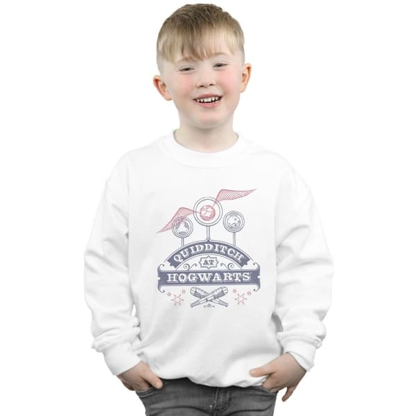 Harry Potter Boys Quidditch At Hogwarts Sweatshirt